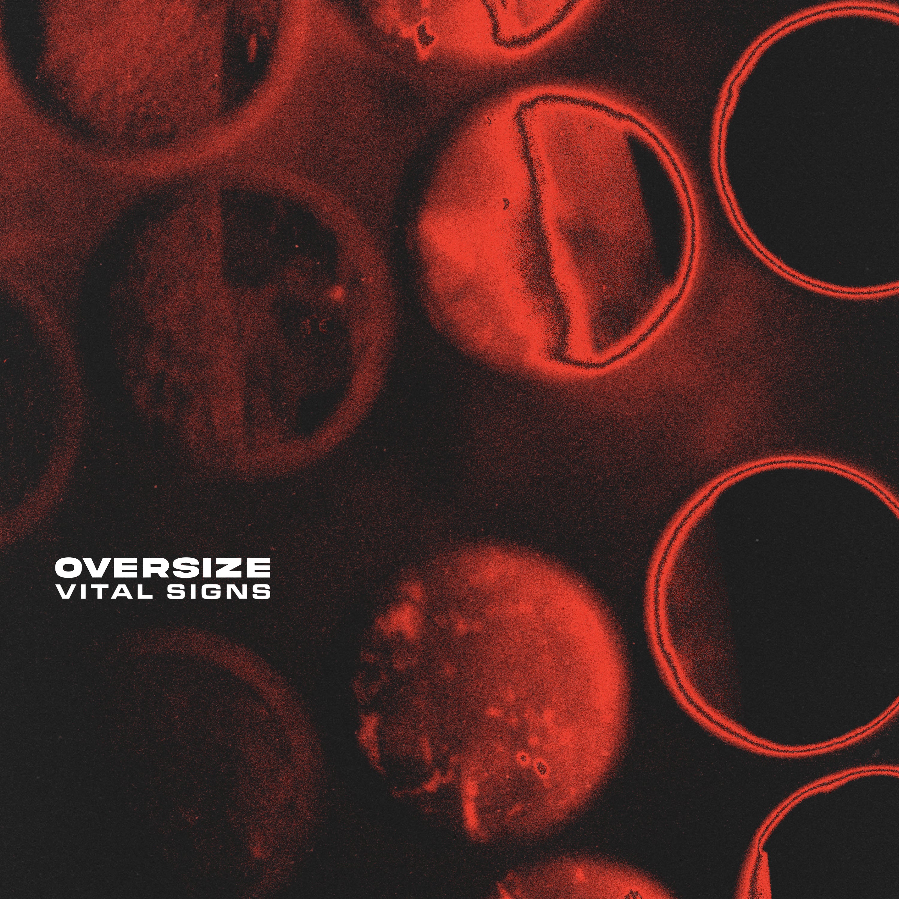 Oversize - Vital Signs CD (Pre-Order)