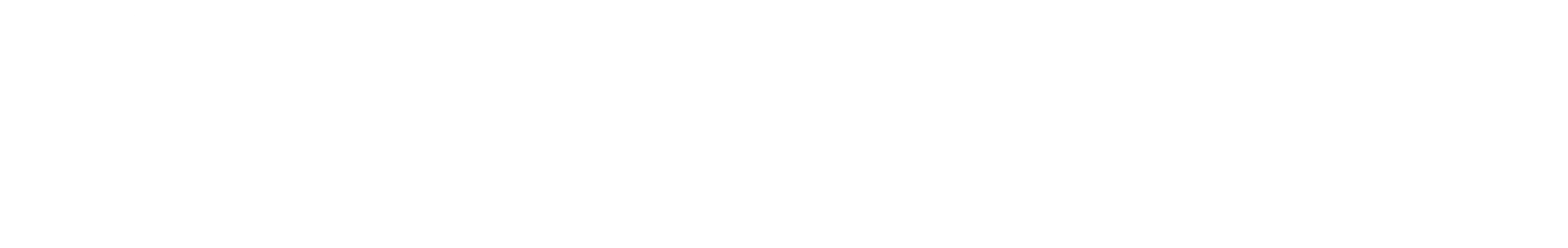 Levels Logo Trans Levels
